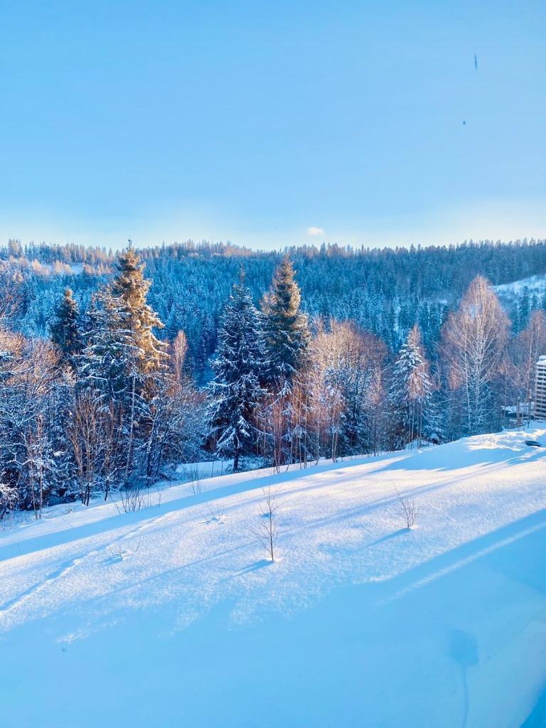 Mount Hotel Slavskoje Eksteriør bilde